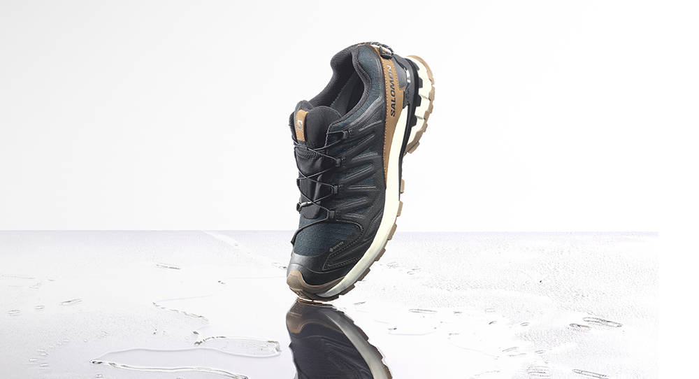 XA PRO 3D V9 GORE-TEX LIFELONG