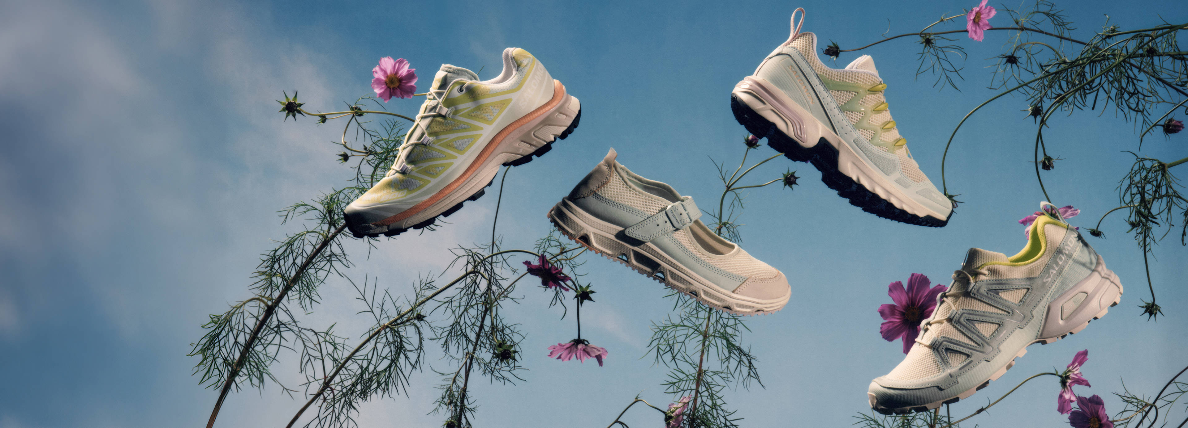 ALPEN BLOSSOM CAPSULE