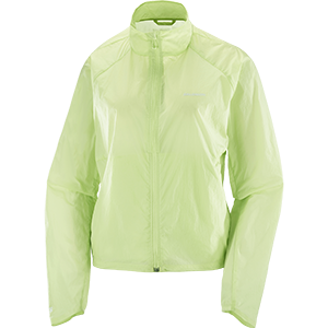 Αντιανεμικά