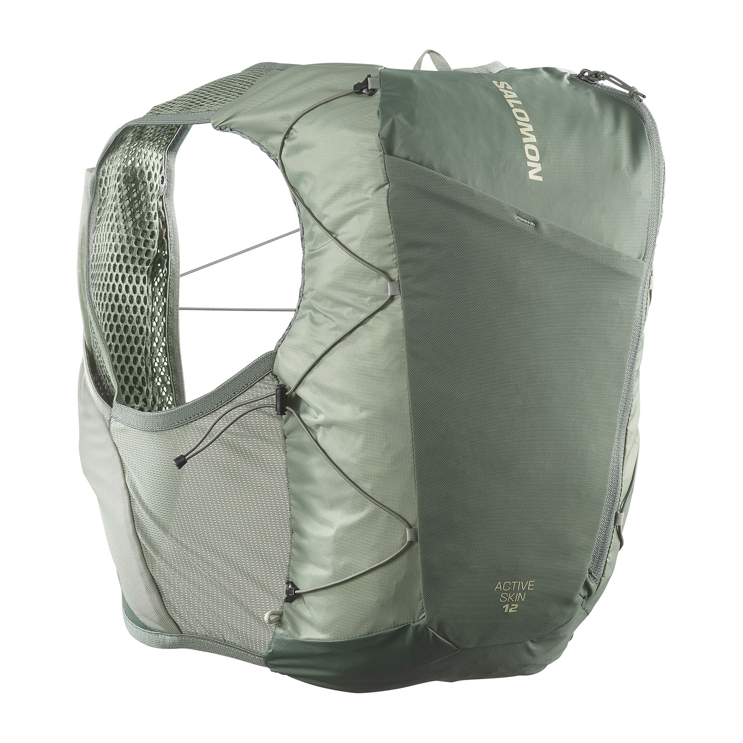 ACTIVE SKIN 12 NO FLASKS