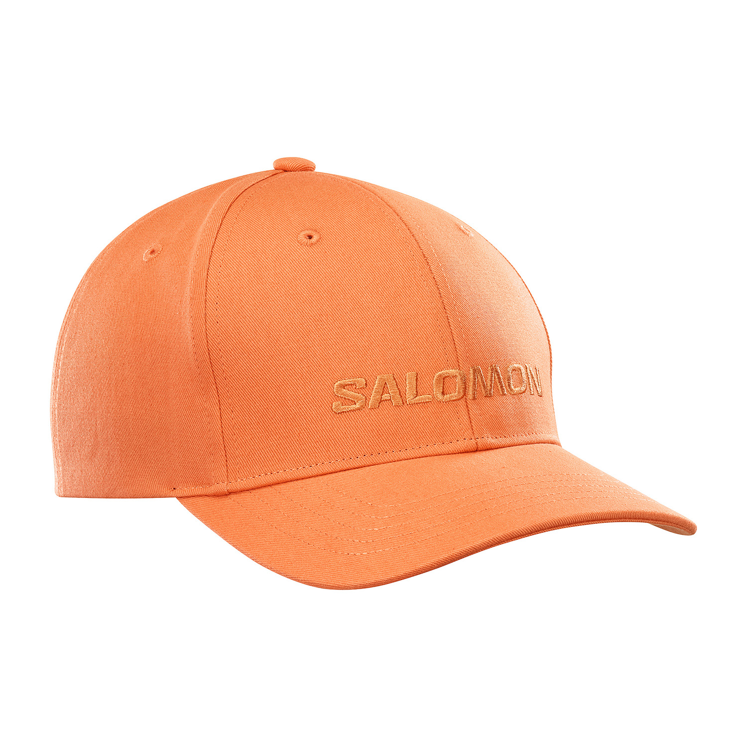 SALOMON LOGO