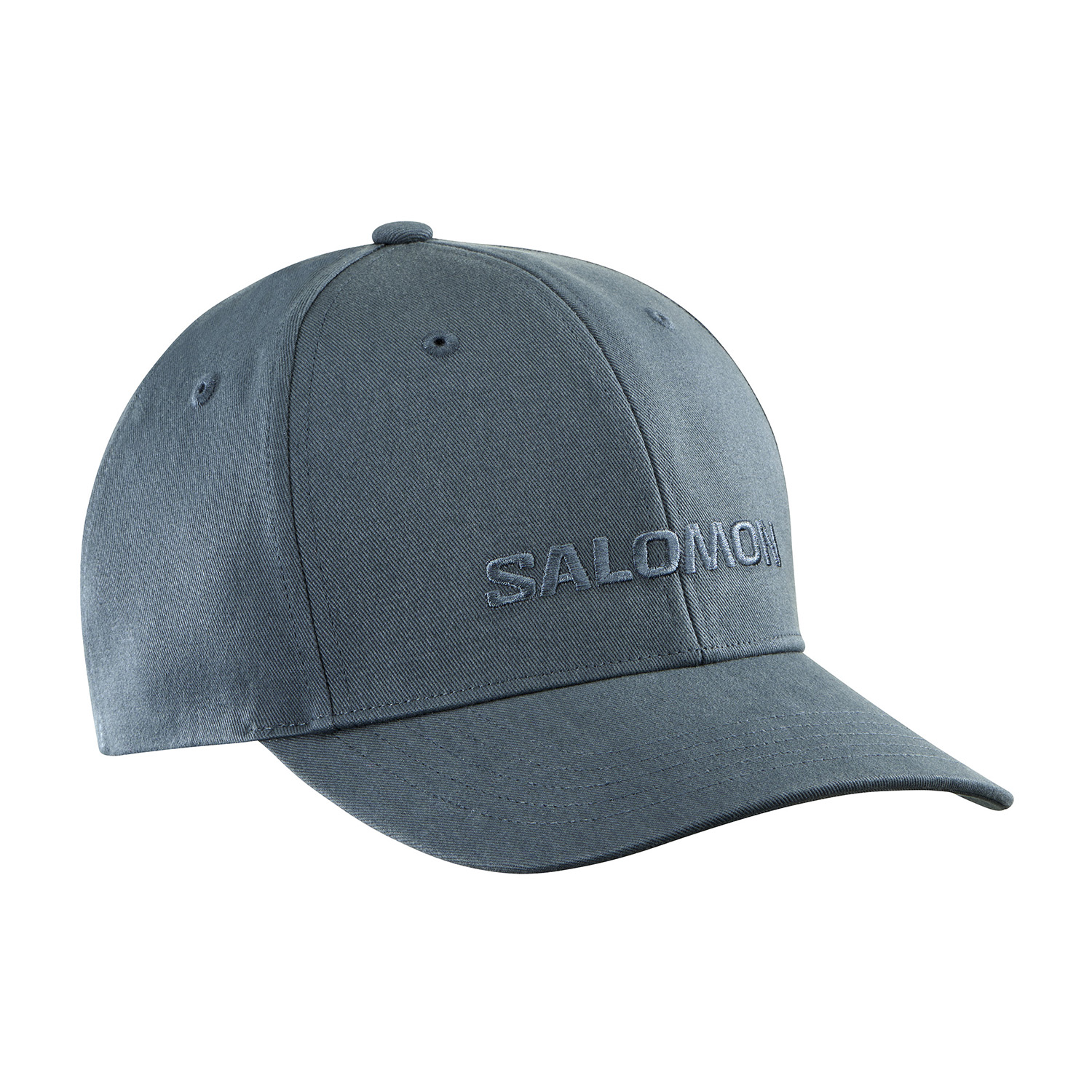 SALOMON LOGO