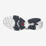 XT-4 OG
