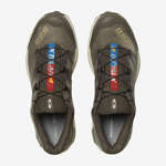 XT-4 OG AURORA BOREALIS