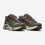 XT-4 OG AURORA BOREALIS