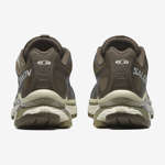 XT-4 OG AURORA BOREALIS