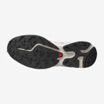 XT-6 EXPANSE SEASONAL