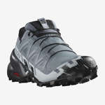 SPEEDCROSS 6 GORE-TEX