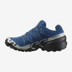 SPEEDCROSS 6 GORE-TEX