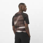 SHAKEout CORE GRAPHIC