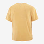 SHAKEout AIR CROPPED