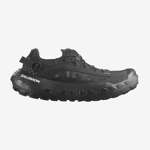 SOLAMPHIBIAN