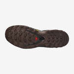 XA PRO 3D GORE-TEX