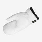 NATIVE GORE - TEX MITTEN