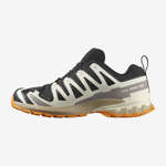 XA PRO 3D V9 GORE-TEX