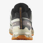 XA PRO 3D V9 GORE-TEX