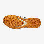 XA PRO 3D V9 GORE-TEX