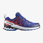 XA PRO 3D V9 GORE-TEX EQUIPE