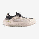 SOLAMPHIBIAN