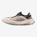 SOLAMPHIBIAN