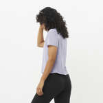 SHAKEout AIR CROPPED