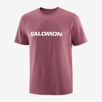 SALOMON BIG LOGO