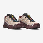 XT-6 GORE-TEX