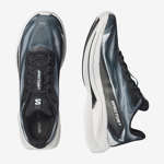 SPECTUR 3