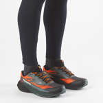 PULSAR QUIVER