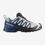 XA PRO 3D V9 GORE-TEX ICON
