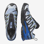XA PRO 3D V9 GORE-TEX ICON