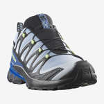 XA PRO 3D V9 GORE-TEX ICON