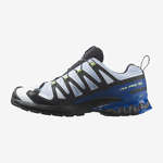 XA PRO 3D V9 GORE-TEX ICON