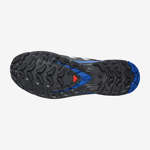 XA PRO 3D V9 GORE-TEX ICON