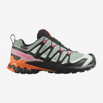 XA PRO 3D V9 GORE-TEX ICON