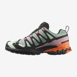 XA PRO 3D V9 GORE-TEX ICON