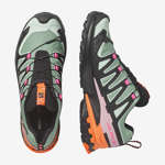 XA PRO 3D V9 GORE-TEX ICON
