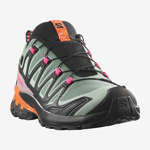 XA PRO 3D V9 GORE-TEX ICON