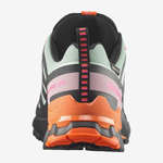 XA PRO 3D V9 GORE-TEX ICON