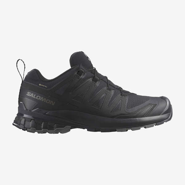 XA PRO 3D V9 GORE-TEX