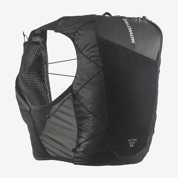 ACTIVE SKIN 12 NO FLASKS