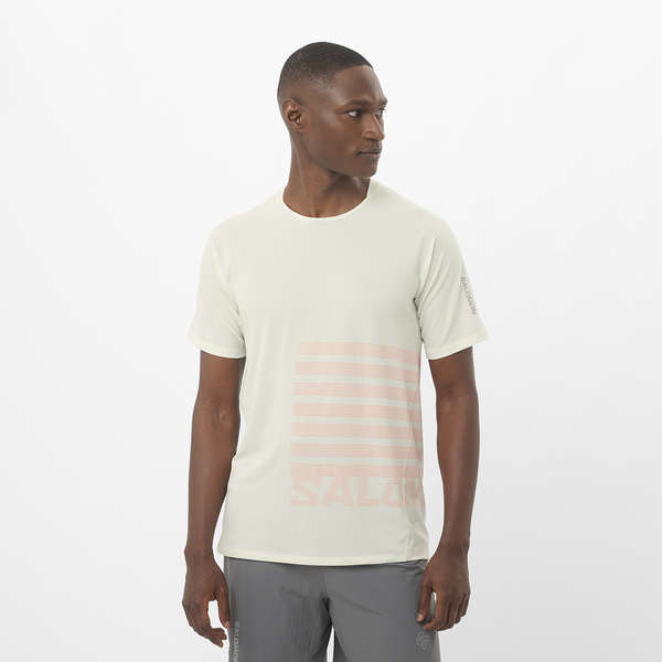 SENSE AERO GRAPHIC