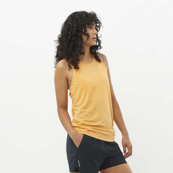 SHAKEout CORE