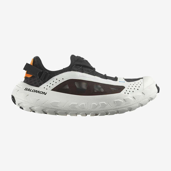 SOLAMPHIBIAN
