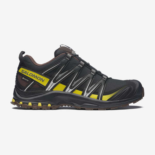 XA PRO 3D GORE-TEX