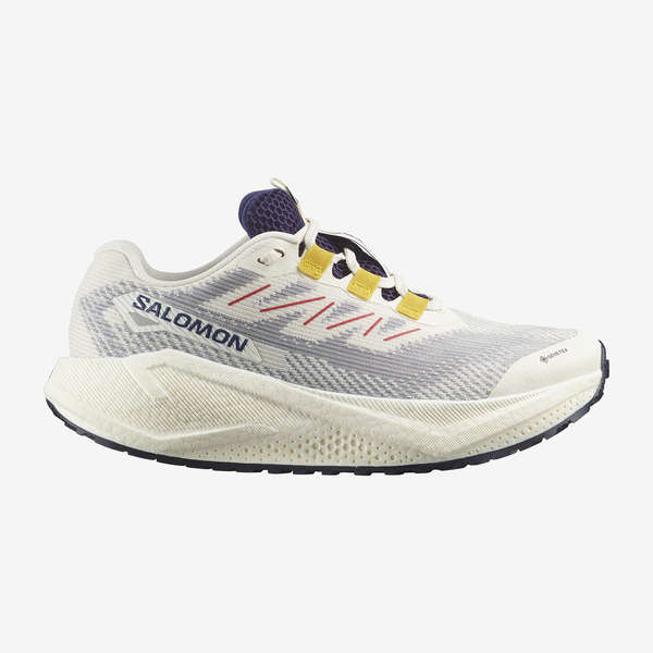 AERO BLAZE 3 GRVL GORE-TEX