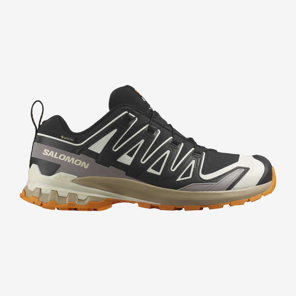 XA PRO 3D V9 GORE-TEX