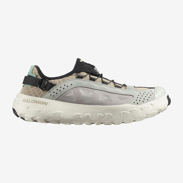 SOLAMPHIBIAN