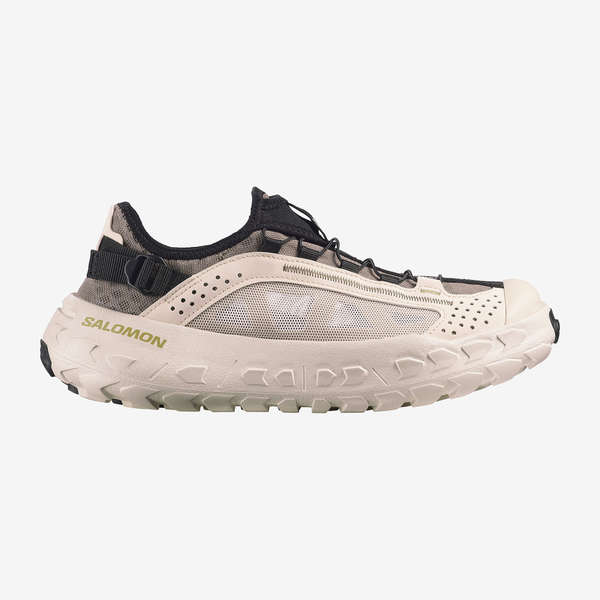 SOLAMPHIBIAN