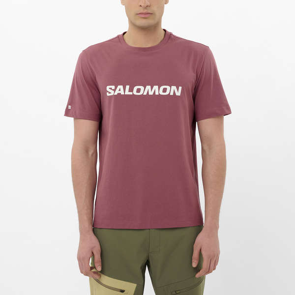 SALOMON LOGO